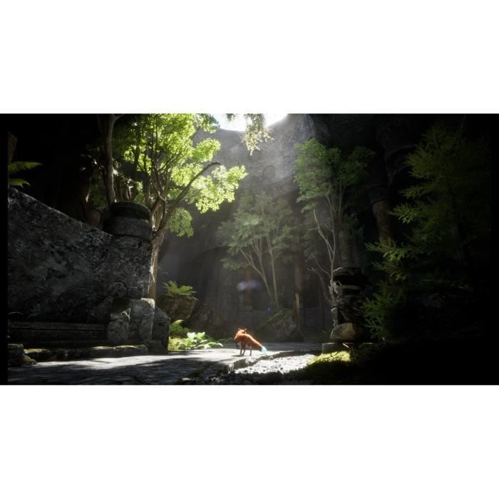 Spirit of the North 2 - Jeu PS5