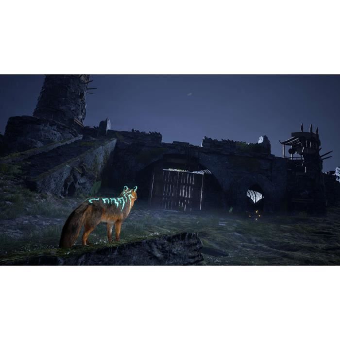 Spirit of the North 2 - Jeu PS5