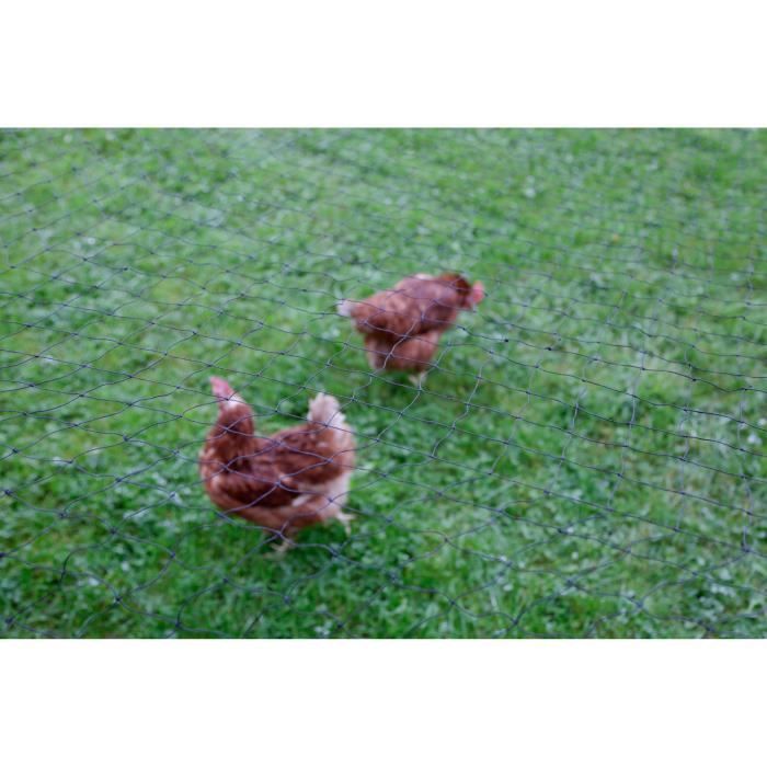 KERBL - Filet de protection - Maille 60 mm - 10 x 5 m - Noir - Pour volaille