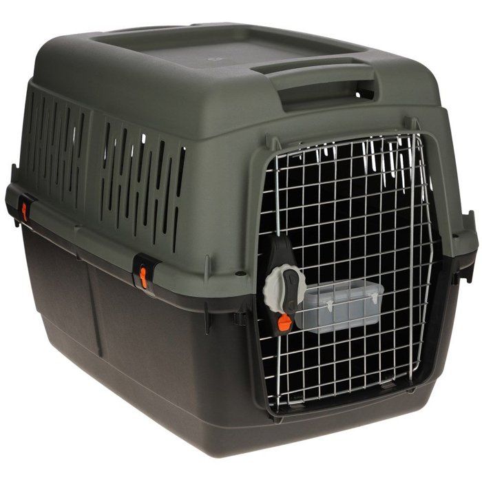 Box de transport Eco – Gris / Vert – 70 × 50 × 51,5 cm