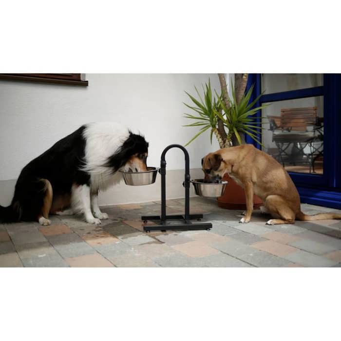Gamelle pour animaux de compagnie TD Hauteur réglable Conception séparée Fond antidérapant
