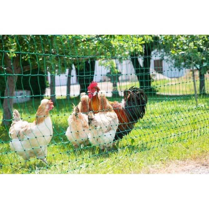 KERBL - Filet de protection volaille - 25 m - 106 cm - Double pointe - Vert