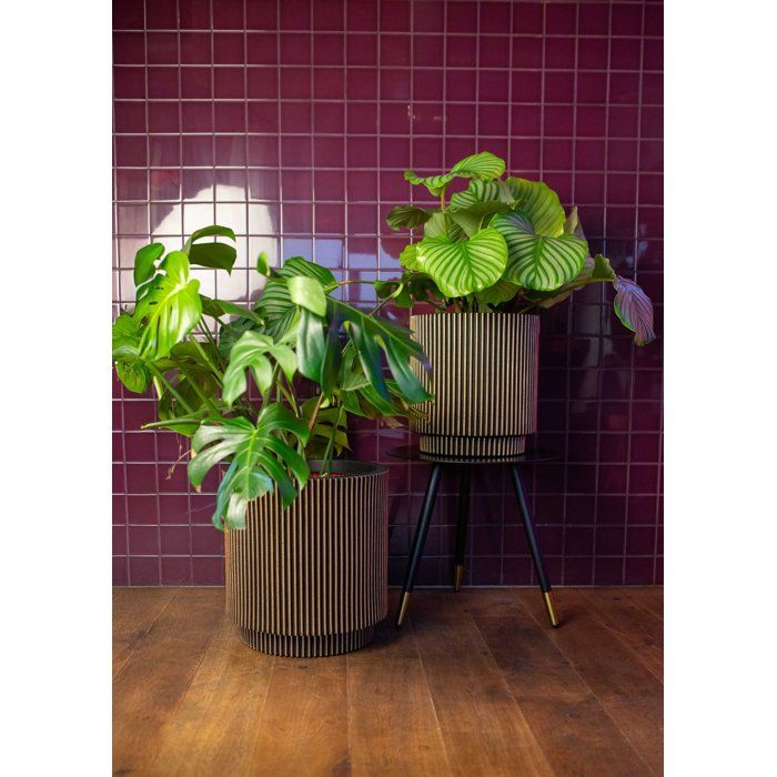 Vase cylindre - CAPI EUROPE - Groove NL - 36 x 38 cm - Noir/or