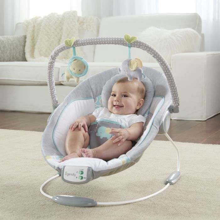 INGENUITY Transat pour bébé-Morrison- Arche avec jouets d'éveil amovible, 8 Mélodies, Vibrations apaisantes, Cadeau Noel bébé
