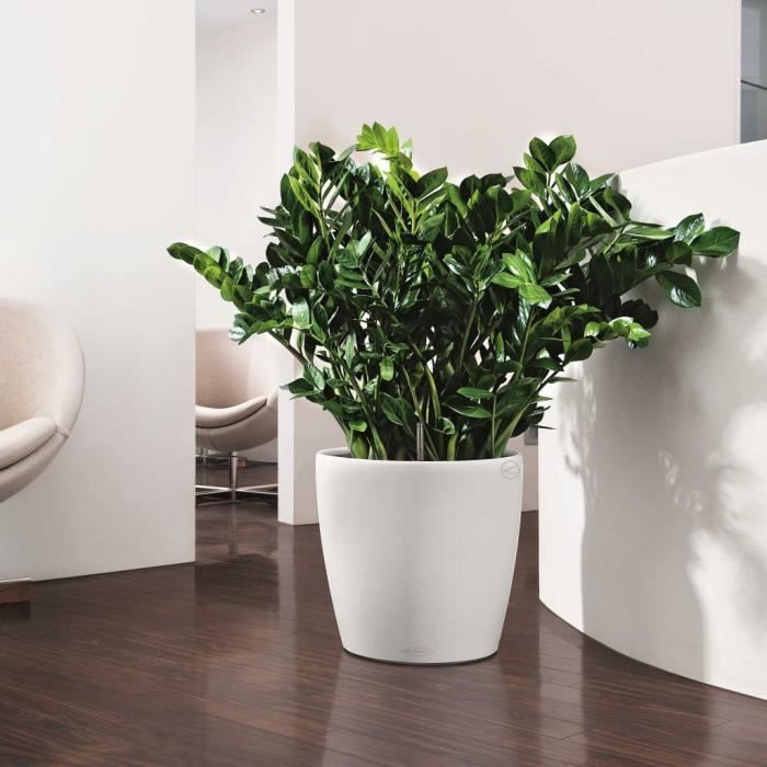 LECHUZA Pot de fleurs Classico Color 43 - All-in-one - Ø 42,0 x 39,5 cm - Kit complet - Blanc - 13230