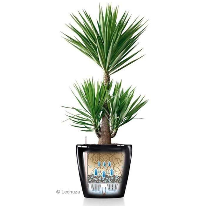LECHUZA Pot de fleurs - Classico Premium 60 - Ø 60 x 55,5 cm - Kit complet - Taupe brillant