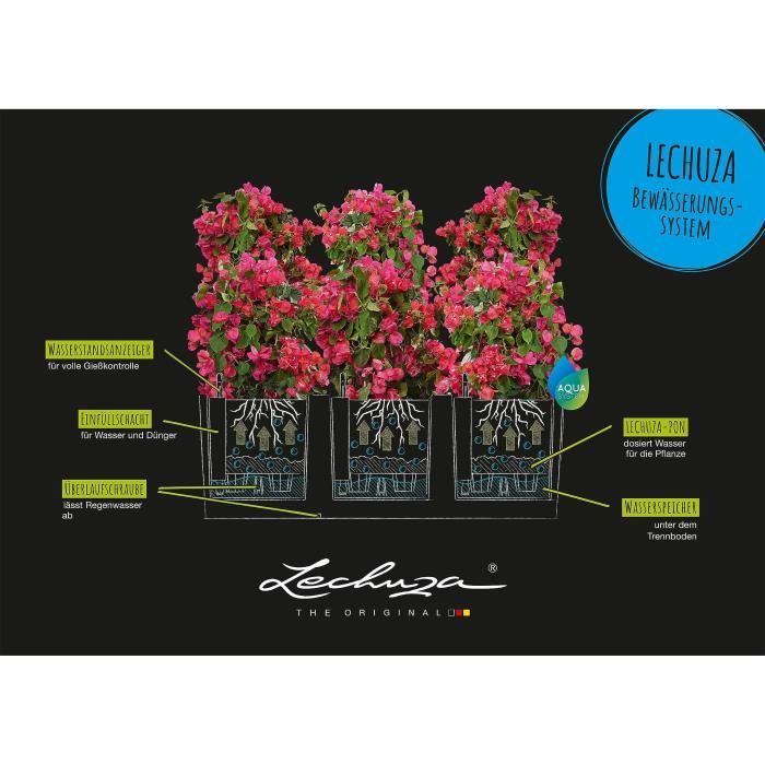 LECHUZA Jardiniere Trio Cottage 30 - 100 x 32,5 x 34,5 cm - 100 % recyclable - Kit complet gris clair