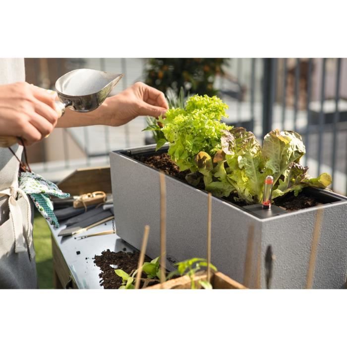 LECHUZA Jardiniere BALCONERA Stone 50 ALL-IN-ONE Gris