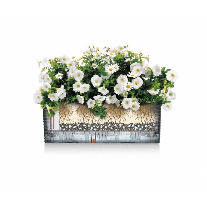 LECHUZA Balconniere Balconera 50 - 50x19 cm - Polypropylene - Marron - Intérieur & extérieur