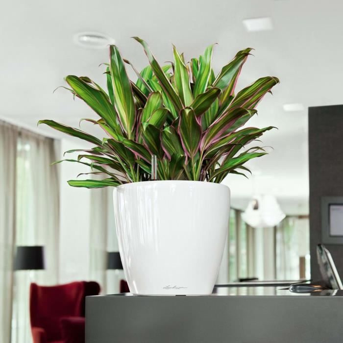 LECHUZA Pot de fleurs Classico 28 LS ALL-IN-ONE - Ø 28 X 26 cm - Blanc brillant 16040