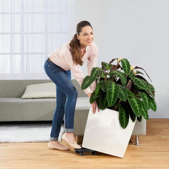 LECHUZA Pot de fleurs - Cube Premium 50 - 49 x 49 x 49,5 cm - Kit complet - Taupe brillant