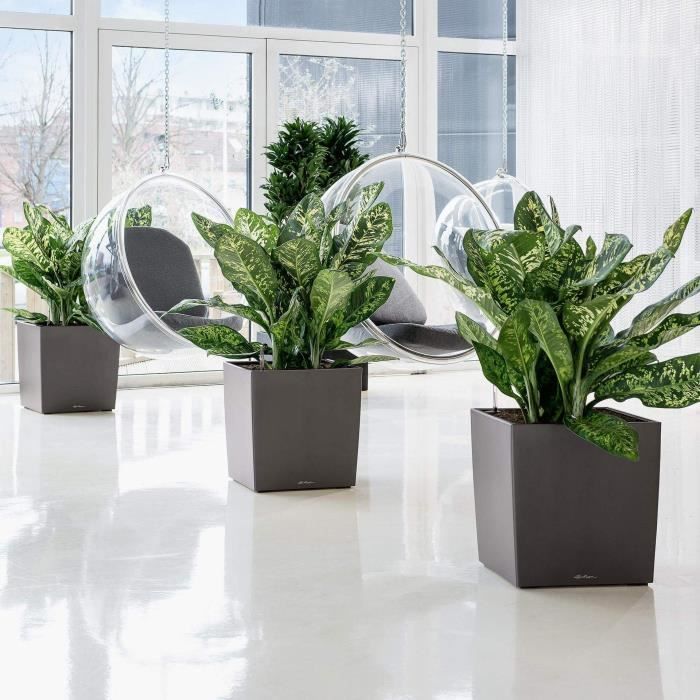 LECHUZA Pot de fleurs - Cube Premium 50 - 49 x 49 x 49,5 cm - Kit complet - Taupe brillant