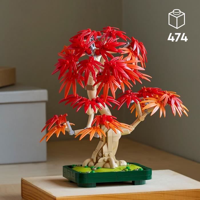 LEGO Botanicals 10348 Bonsai d'Érable Rouge du Japon - Kit de Construction pour Adulte