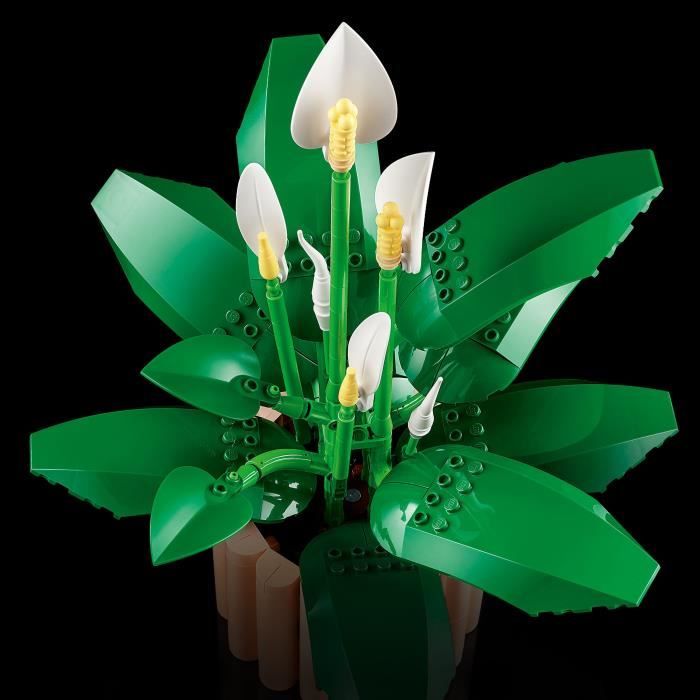 LEGO Botanicals 11504 Les Fleurs de Lune - Set de Plante Artificielle pour Adulte - Déco