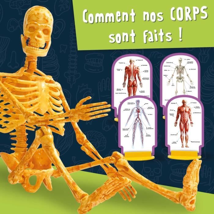 Découverte du corps humain - Kit Scientifique - I'M A GENIUS POCKET - Modele 3D