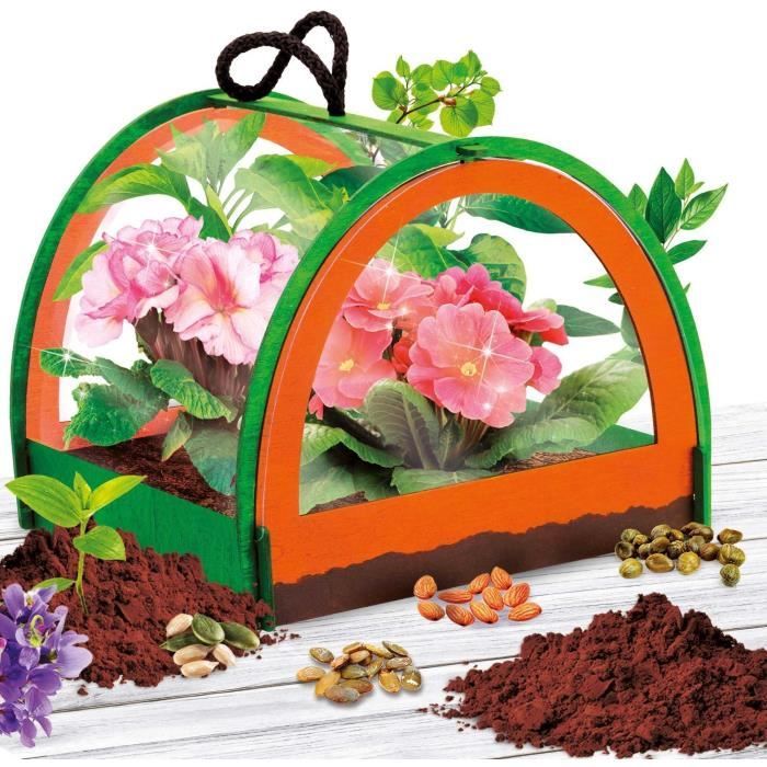 Découverte de la botanique - Kit Scientifique - I'M A GENIUS POCKET - Serre miniature, Expériences botaniques