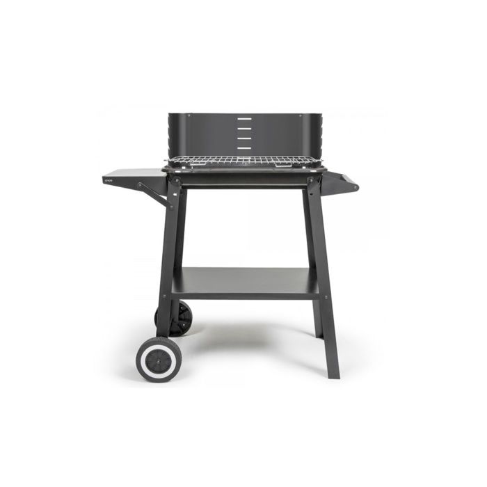 Barbecue a charbon - LIVOO - DOC328 - Inox - Surface de cuisson 48,5 x 28,8 cm - Hauteur réglable 70-84 cm