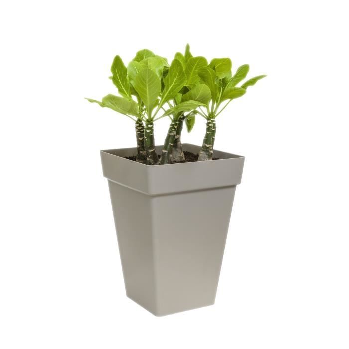 ELHO Bac a fleurs Loft Urban Carré Haut - Ř 29 x H 41 cm - Extérieur - 100% recyclé - Noir