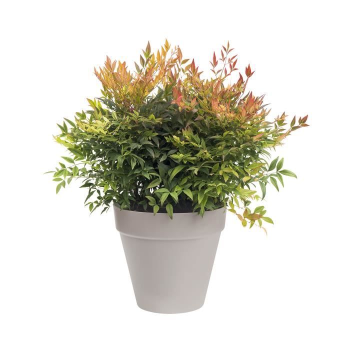 ELHO Pot de fleurs rond avec roues Loft Urban - Ø 48.5 x H 44.5 cm - Gris chaud