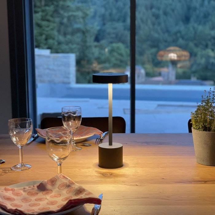 Lampe de table sans fil - LUMISKY - ROBY - Touch en aluminium - Gris foncé - LED