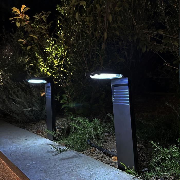 Lot de 2 balises solaires a planter - LUMISKY - OSTRY - H41 cm - LED blanc froid