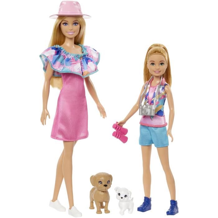 Barbie-Coffret PoupÈes Stacie et Barbie avec 2†chiots et accessoires HRM09