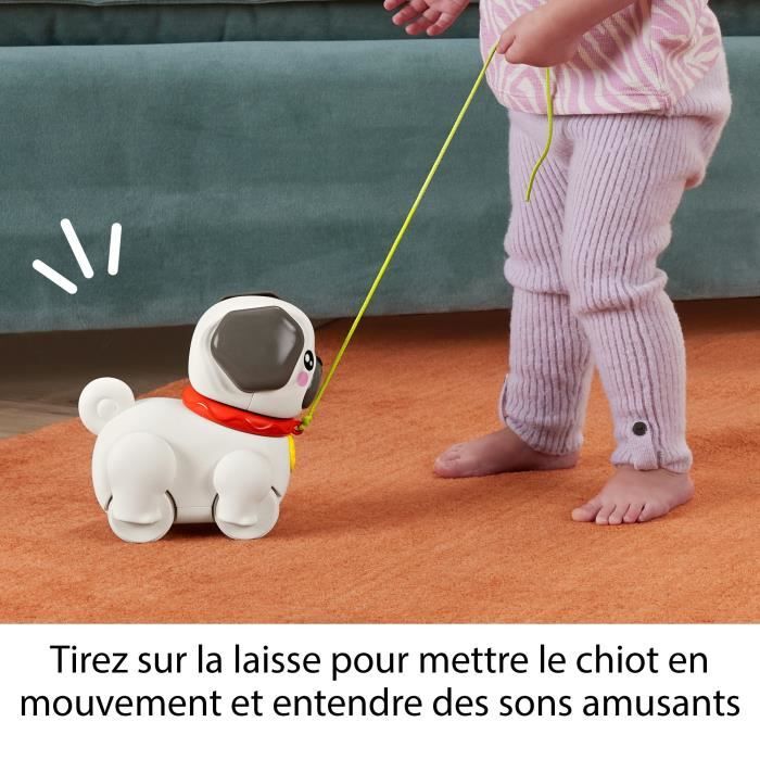 Fisher-Price-Mon Carlin a Promener-Jouet a tirer pour bébé HTW94