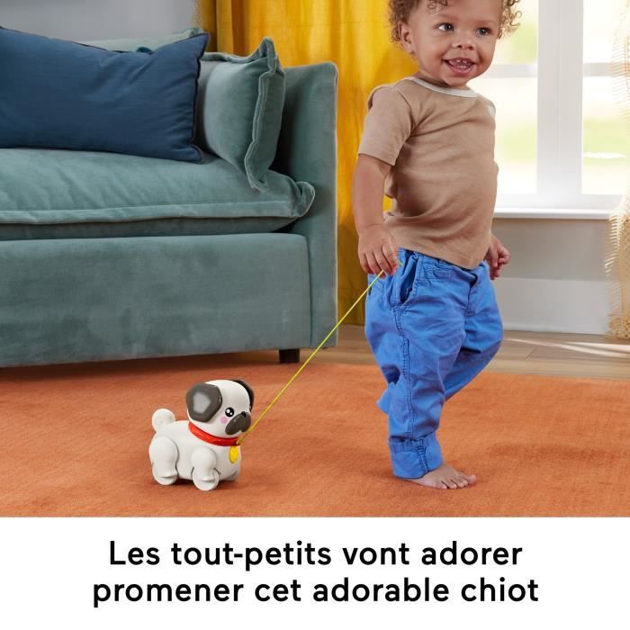 Fisher-Price-Mon Carlin a Promener-Jouet a tirer pour bébé HTW94