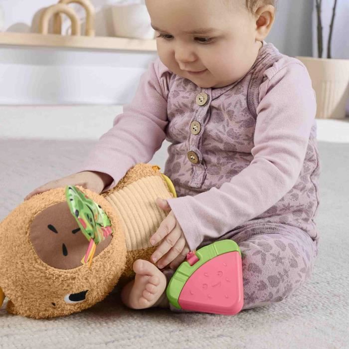 Fisher-Price-Mon Capybara Câlins-Peluche Anneau De Dentition Et Hochet - Des 3 mois- HYR54