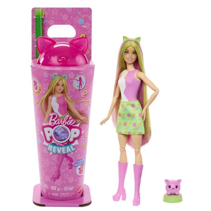 Barbie-Pop Reveal-PoupÈe Chaton Et Accessoires SÈrie Shakes - 3 ans+- JCN88