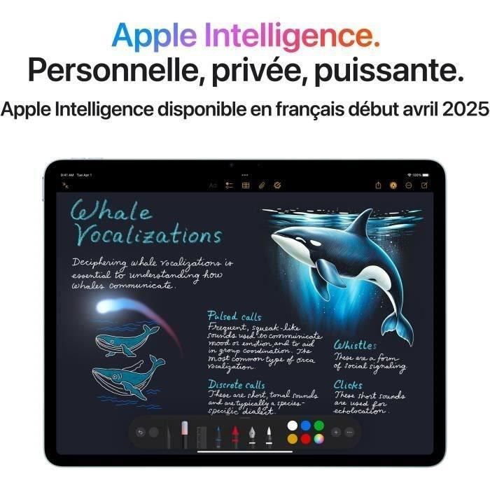 APPLE - iPad Air M3 (2025) - 13 - Wi-Fi + Cellular - 1To - Gris sidéral