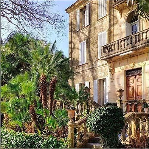 M de Minuty 2024 - Côtes de Provence - Magnum - Vin rosé