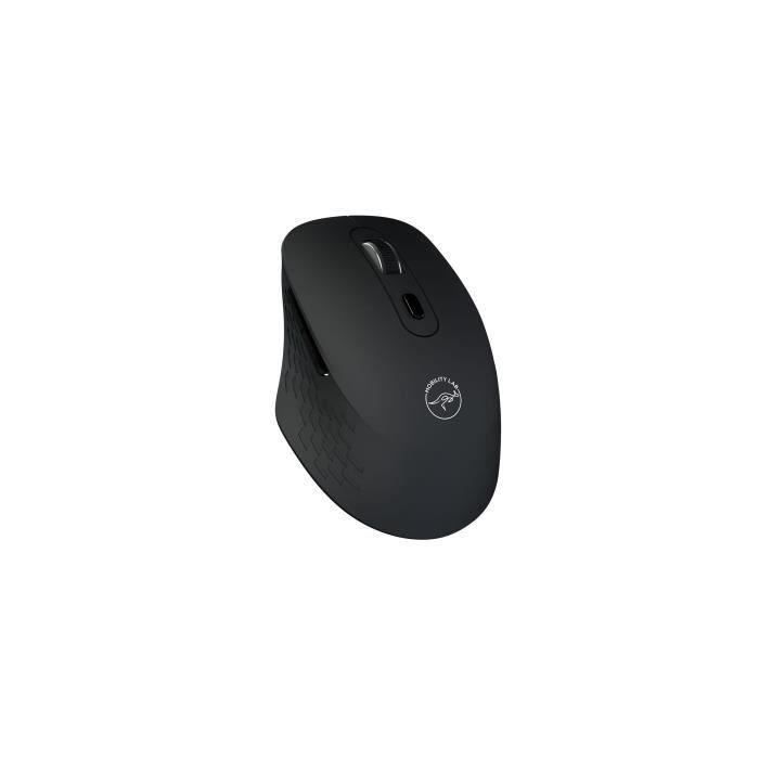 Souris sans fil - MOBILITY LAB - Omega - Bluetooth et récepteur 2,4GHz - Noir - Clics silencieux - Précision réglable