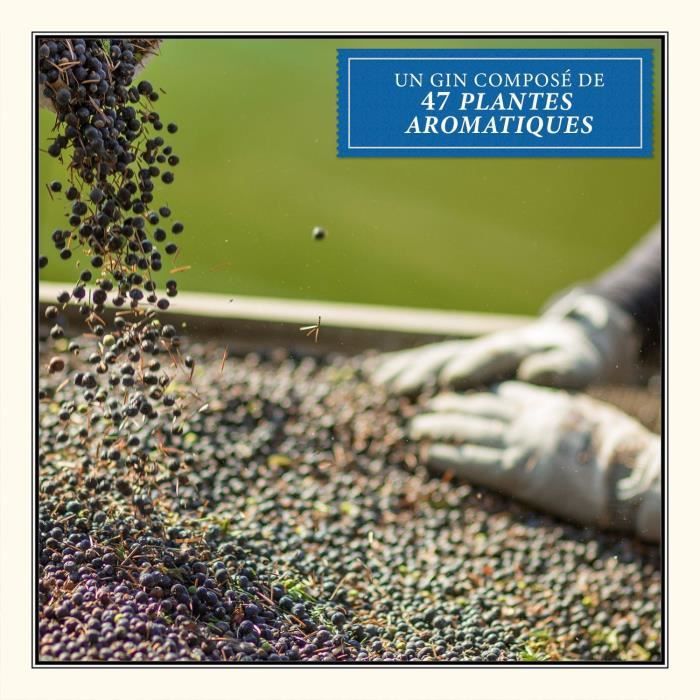 Monkey 47 - Schwarzwald Dry Gin - 47,0% Vol. - 50cl