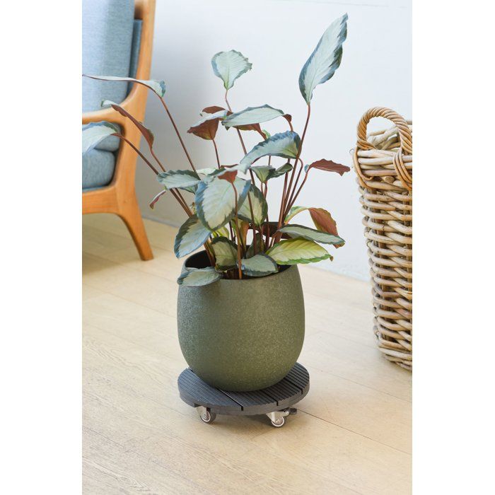 Support de pot à roulettes - NATURE - WPC H7,5 x Ø30 cm - 4 roulettes - Anthracite