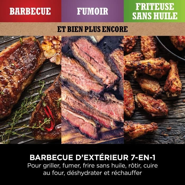 Barbecue Èlectrique - NINJA - Woodfire - OG701EU - Grill, fumoir & air fryer - AntiadhÈsif - Gris et noir