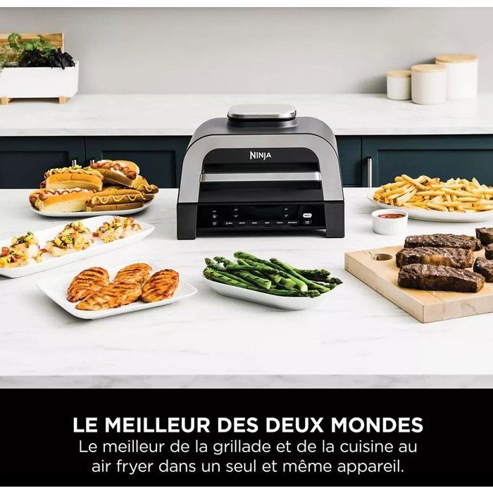 Grill & Friteuse sans huile NINJA - DG551EU - 6 programmes de cuisson - Capacité 3,8L - 1760W