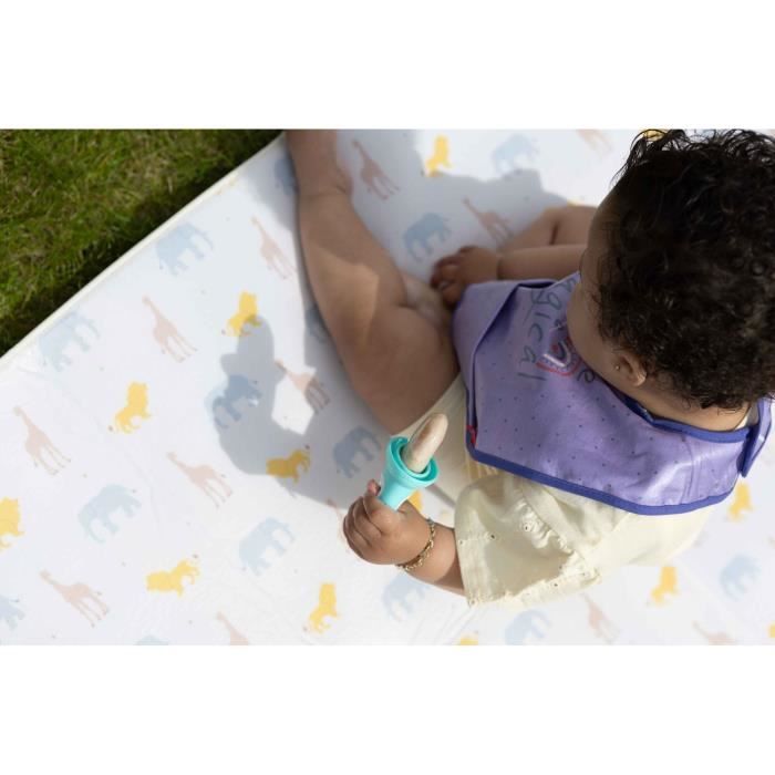 Moules a glace - NUBY - Fruitsicles - 4 bâtonnets