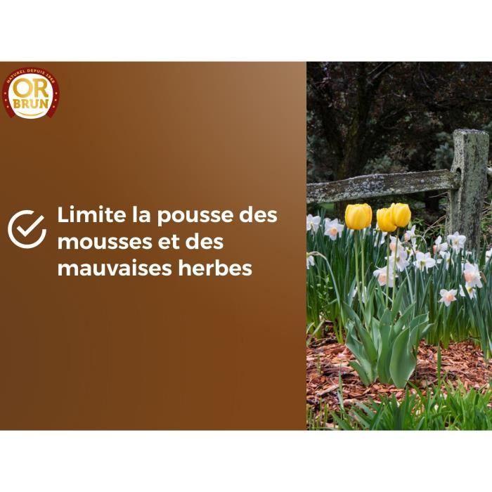OR BRUN - OBRPECO50 - Ecorces De Pin - Protege Le Sol - Limite Les Mauvaises Herbes - Conserve L'Humidité