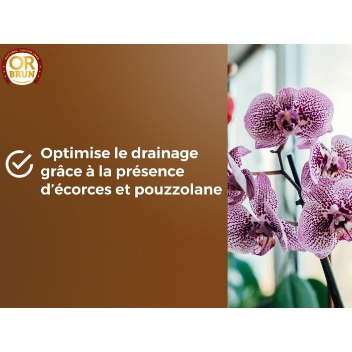 Terreau orchidées - OR BRUN - OBRTORC6U - 6L - Favorise la croissance