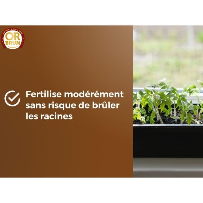 Terreau Semis - OR BRUN - OBRTSEM6U - 6L - Améliore le Drainage - Rétention d'Eau Optimale