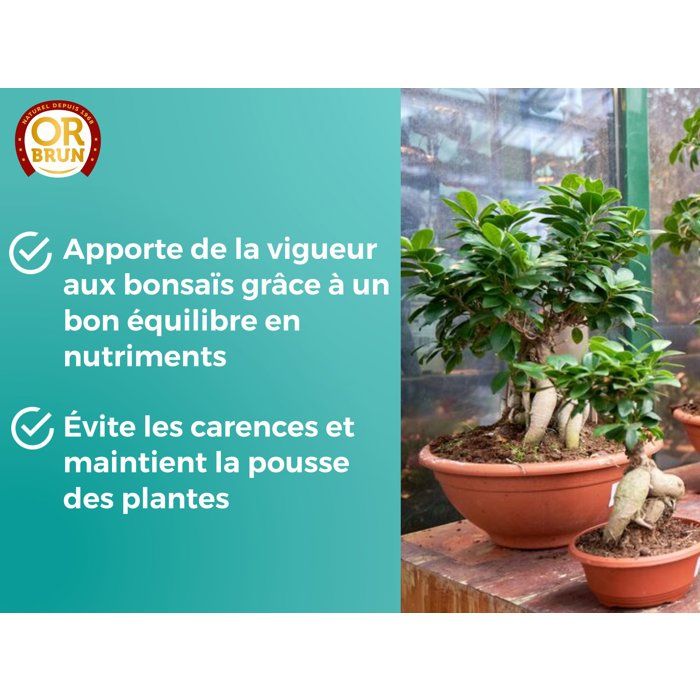 Engrais bonsais - OR BRUN - OBRECLBONSAI250 - 250 ml - Améliore et favorise la croissance - Fabriqué en France