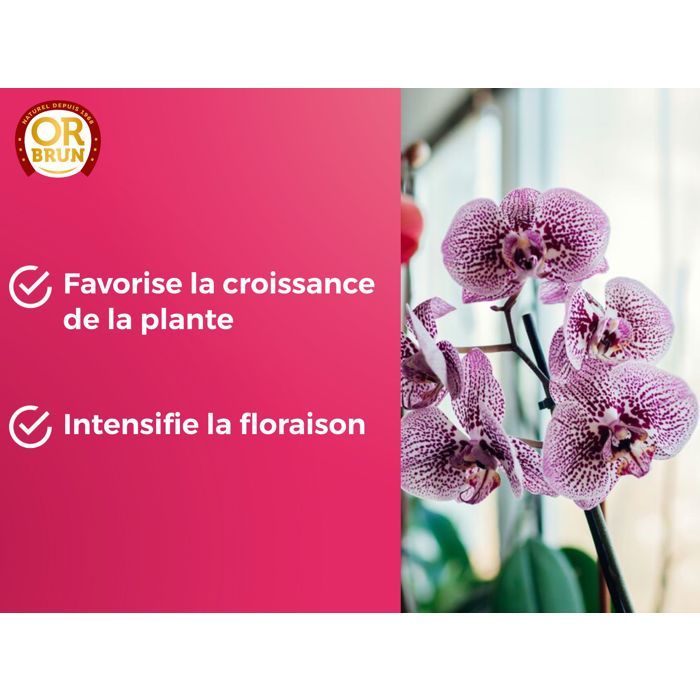 OR BRUN Engrais orchidées - 250ml - Améliore & favorise la croissance - Fabriqué en France OBRECLORCH250