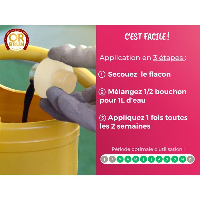 OR BRUN Engrais orchidées - 250ml - Améliore & favorise la croissance - Fabriqué en France OBRECLORCH250