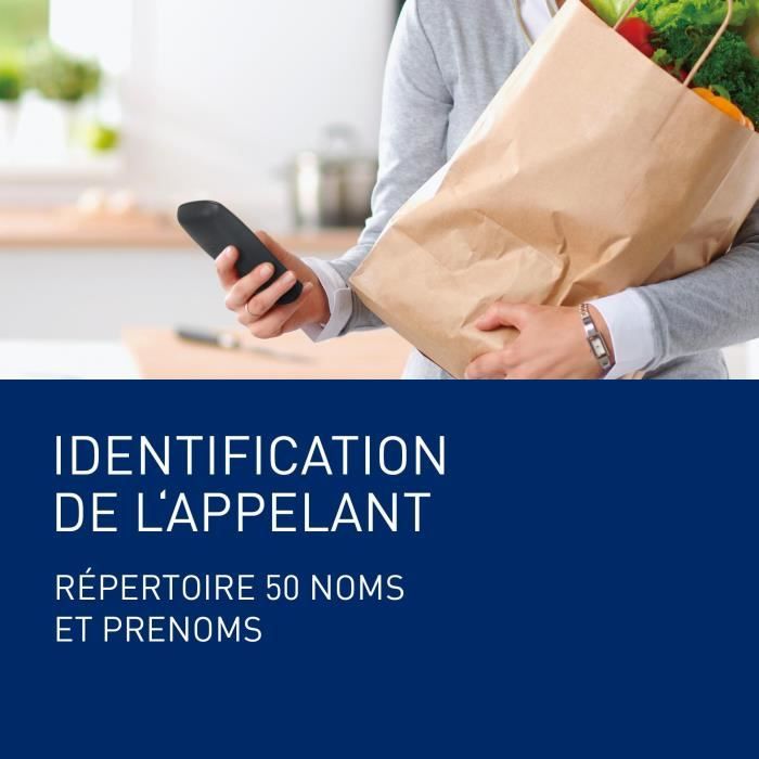 Téléphone Sans Fil Panasonic KX-TG1611FRH DECT avec Répondeur et Écran LCD