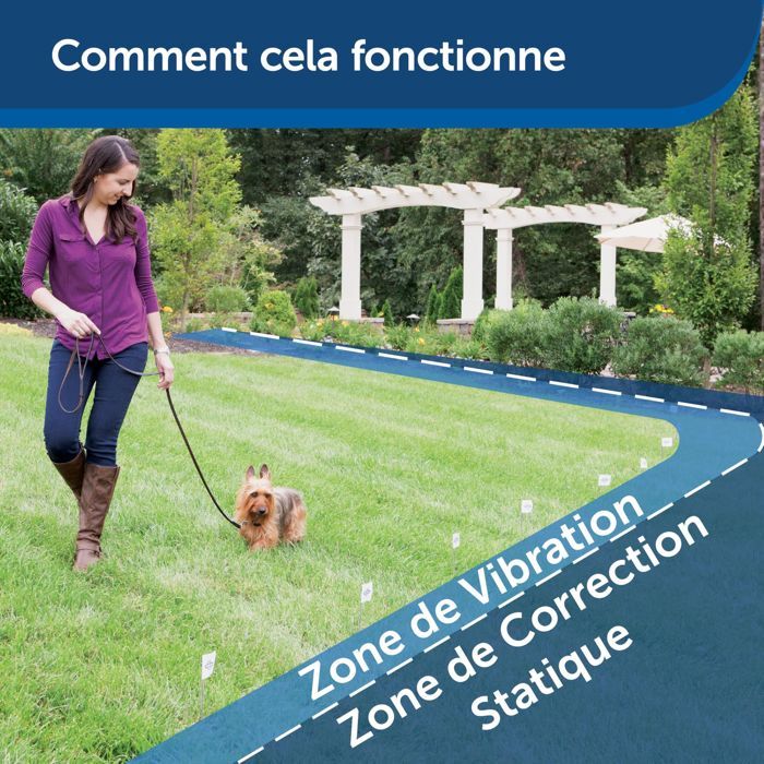 PetSafe - Systeme de Clôture Anti-Fugue pour Chien avec 150 metres de fil - 5 niveaux réglables de stimulation statique