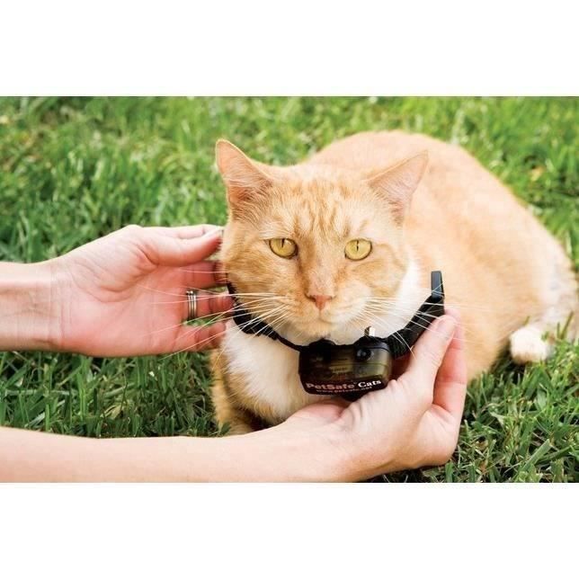 PetSafe - Clôture Anti-Fugue Deluxe avec Collier spécial Chat - Étanche - 4 Niveaux de Stimulation Systeme Anti-étranglement