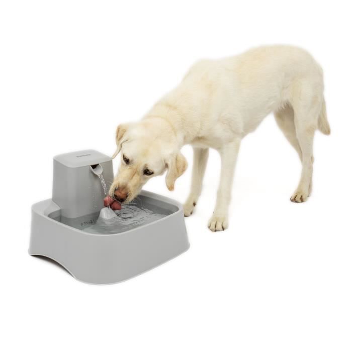 PetSafe - Fontaine Drinkwell 7,5 litres pour Grandes Races de Chiens/Plusieurs Animaux de Compagnie, Facile a Nettoyer et