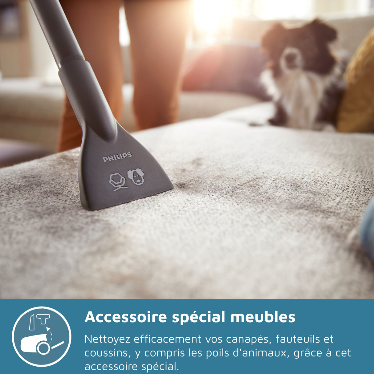 Aspirateur sans sac - PHILIPS - XB2122/09 - Série 2000 - 850W - 77db - Blanc/bleu