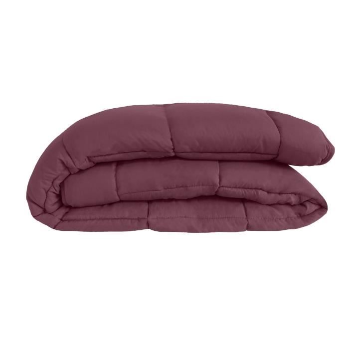 CALGARY - Couette Chaude Microfibre 400gr/m˛ - Prune & Parme - 240 x 260 cm